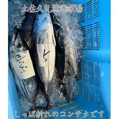 【訳ありしっぽ折れ】生鰹たたき1.3kg