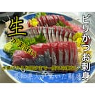 釣れたてその日に発送!ビリかつお刺身・わら焼きタタキ 各250g×1節(醤油・ニンニク・タレ付き)