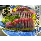 モチモチ食感!ビリかつお刺身250g×1節(刺身醤油・ニンニク付き)