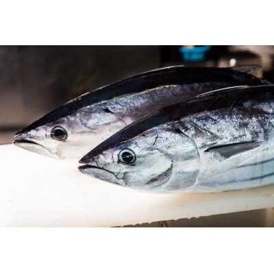 モチモチ食感!ビリかつお刺身250g×2節(刺身醤油・ニンニク付き)