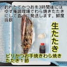 モチモチ食感!ビリかつおわら焼きタタキ300g×1節(タレ・ニンニク付)