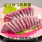 釣れたてのかつお発送可能に!ビリかつおわら焼きタタキ・刺身各300g×2節(醤油・ニンニク・タレ付)