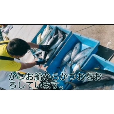 モチモチ食感!冷凍ビリかつお刺身250g×2節(醤油・ニンニク・タレ付き)