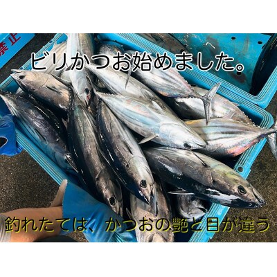 冷凍ビリかつおわら焼きたたき500g×4節(タレ・ニンニク付)