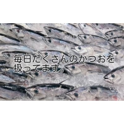 高知沖中土佐久礼生かつお生タタキ3節(手焼きわら焼き)