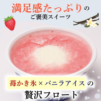 久保田食品　苺アイスフロート　160ml×18個セット