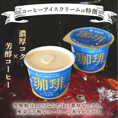 久保田食品　コーヒーアイスクリーム　110ml×12個セット