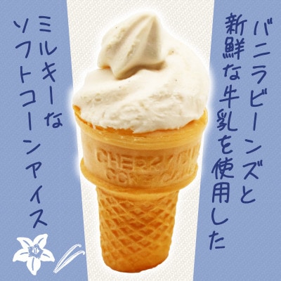 久保田食品　バニラソフト　110ml×20個セット