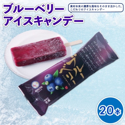 久保田食品　ブルーベリーアイスキャンデー　80ml×20本セット