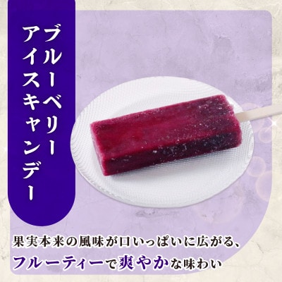 久保田食品　ブルーベリーアイスキャンデー　80ml×20本セット