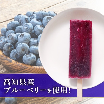久保田食品　ブルーベリーアイスキャンデー　80ml×20本セット