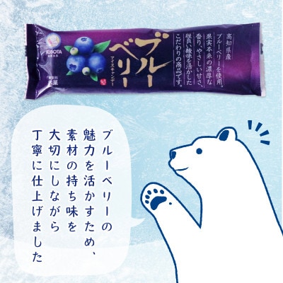 久保田食品　ブルーベリーアイスキャンデー　80ml×20本セット