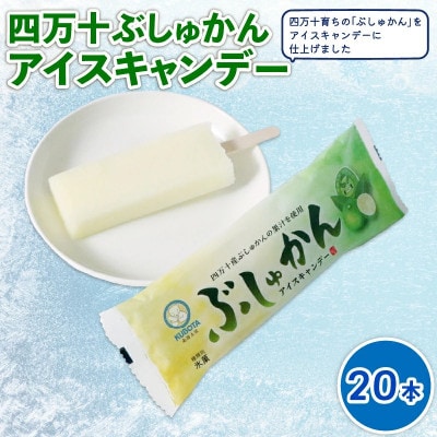 久保田食品　四万十ぶしゅかんアイスキャンデー　80ml×20本セット