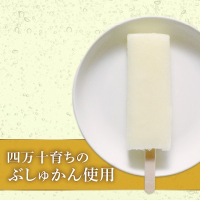 久保田食品　四万十ぶしゅかんアイスキャンデー　80ml×20本セット