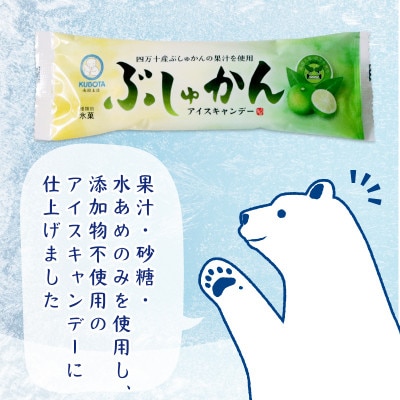 久保田食品　四万十ぶしゅかんアイスキャンデー　80ml×20本セット