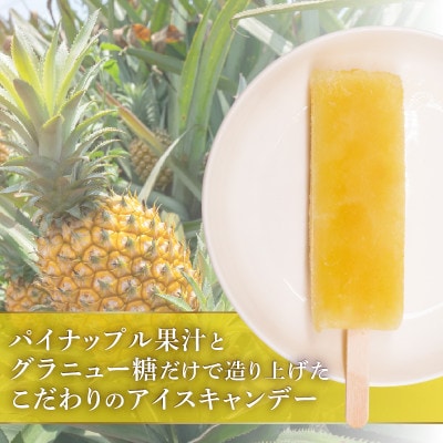 久保田食品　パイナップルアイスキャンデー　80ml×20本セット