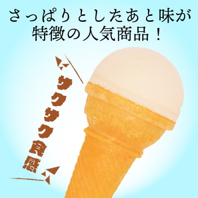 久保田食品　南国土佐のアイスクリンコーン　160ml×18個セット