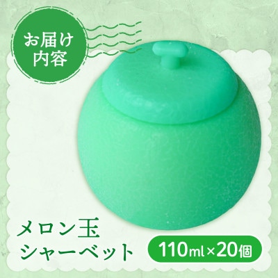 久保田食品　メロン玉シャーベット　110ml×20個セット