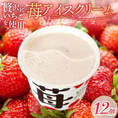 久保田食品　苺アイスクリーム　110ml×12個セット