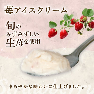 久保田食品　苺アイスクリーム　110ml×12個セット