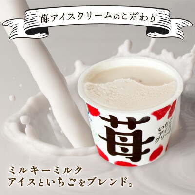 久保田食品　苺アイスクリーム　110ml×12個セット