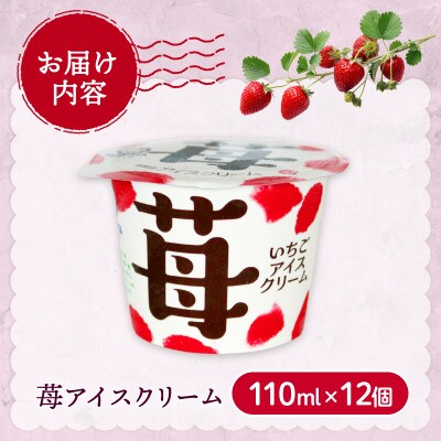 久保田食品　苺アイスクリーム　110ml×12個セット