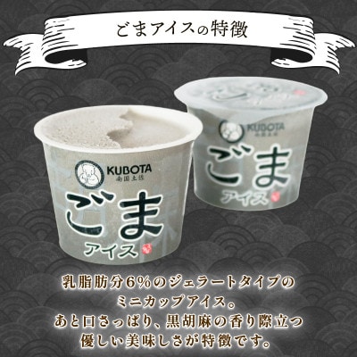 久保田食品　ごまアイスクリーム　100ml×12個セット