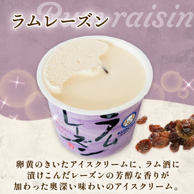 久保田食品　ラムレーズンアイスクリーム　110ml×12個セット
