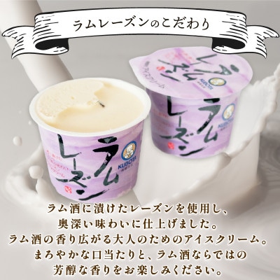 久保田食品　ラムレーズンアイスクリーム　110ml×12個セット