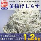 釜揚げしらす高知県土佐湾産1.2kg(300g×4袋)新鮮・ふわふわ鮮度抜群!