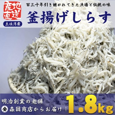 釜揚げしらす高知県土佐湾産1.8kg(300g×6袋)新鮮・ふわふわ鮮度抜群!