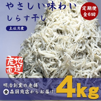 【毎月定期便】しらす干し(釜揚げちりめん)高知県土佐湾産4kg(500g×8袋)全6回
