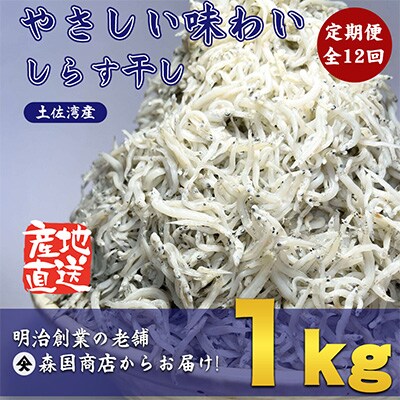 2023年5月発送開始『定期便』毎月発送　しらす干し高知県産1kg 全12回