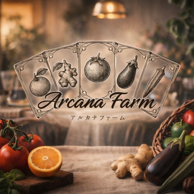 新鮮野菜 計9～11品目 南国市産