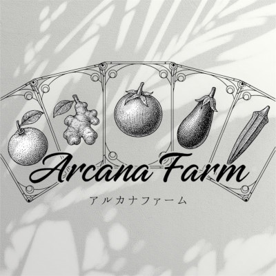 【毎月定期便】新鮮野菜 計9～11品目全2回