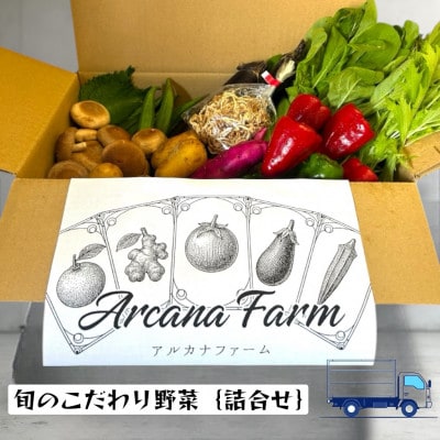 【毎月定期便】新鮮野菜 計9～11品目全3回
