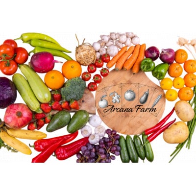 【毎月定期便】新鮮野菜 計9～11品目全3回