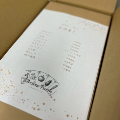 【毎月定期便】新鮮野菜 計9～11品目全6回