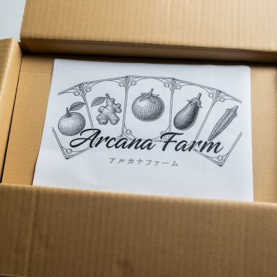 【毎月定期便】新鮮野菜 計9～11品目全12回