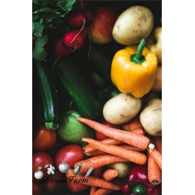 【毎月定期便】新鮮野菜 計9～11品目全12回