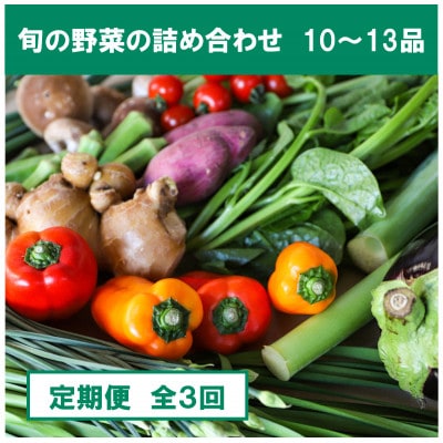 【毎月定期便】【土佐野菜】朝採れ　旬の野菜の詰め合わせ 大全3回