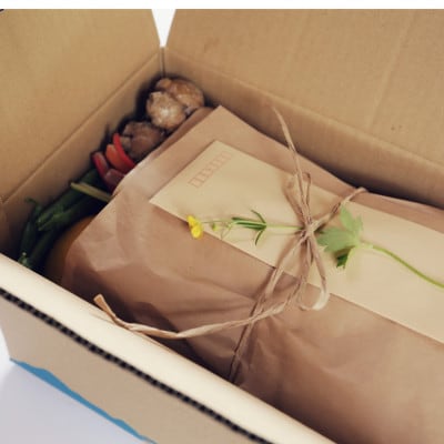 【毎月定期便】【土佐野菜】朝採れ　旬の野菜の詰め合わせ 大全3回