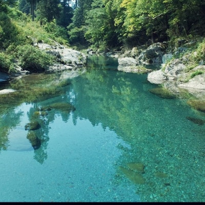 【毎月定期便】【土佐野菜】朝採れ　旬の野菜の詰め合わせ 大全3回