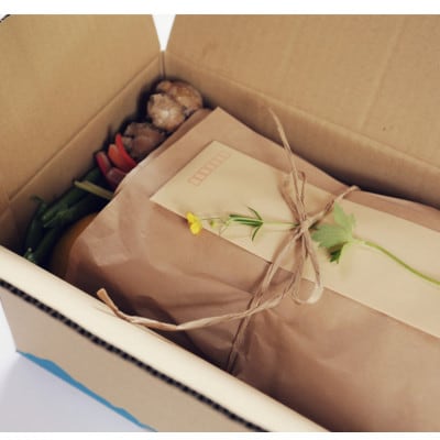 【毎月定期便】旬の朝採れ土佐野菜詰め合わせ大(10～13品目)全6回