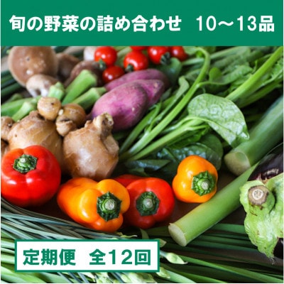 【毎月定期便】旬の朝採れ土佐野菜詰め合わせ大(10～13品目)全12回