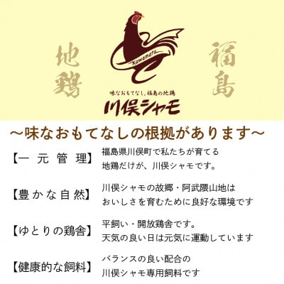川俣シャモ　くんせい詰め合わせ　3～4人前
