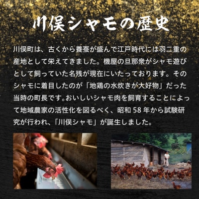川俣シャモ　ローストチキン約1.1kg