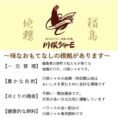 川俣シャモ　すき焼きセット　約4～5人前