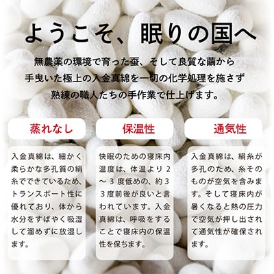 入り金真綿肌掛布団(アウトレット品)