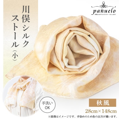 川俣シルクストール(小)秋風